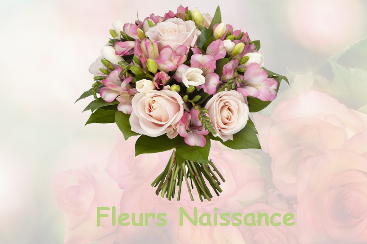 fleurs naissance LE-CHESNAY