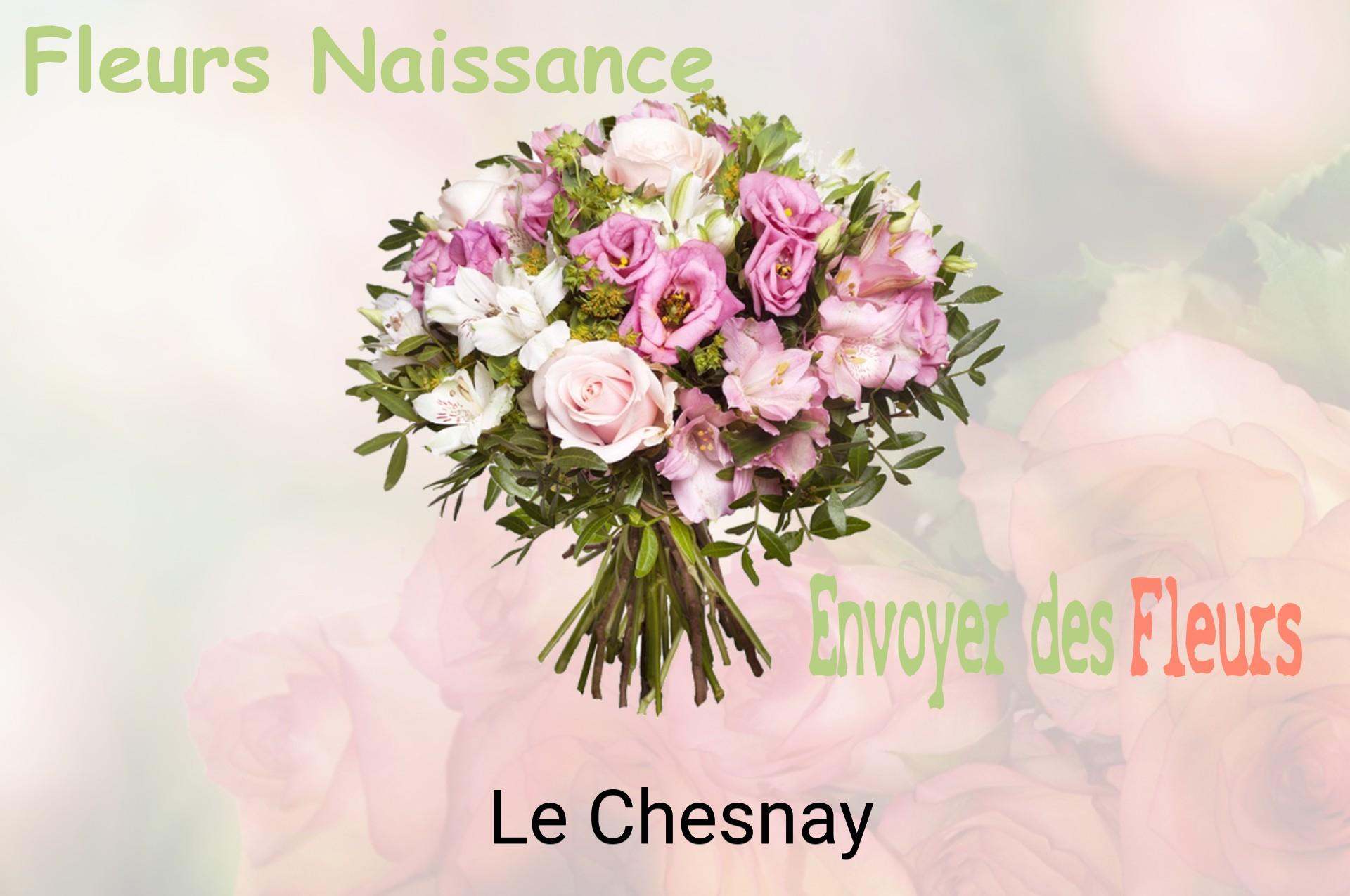 Bouquet de fleurs de naissance livré à Le Chesnay